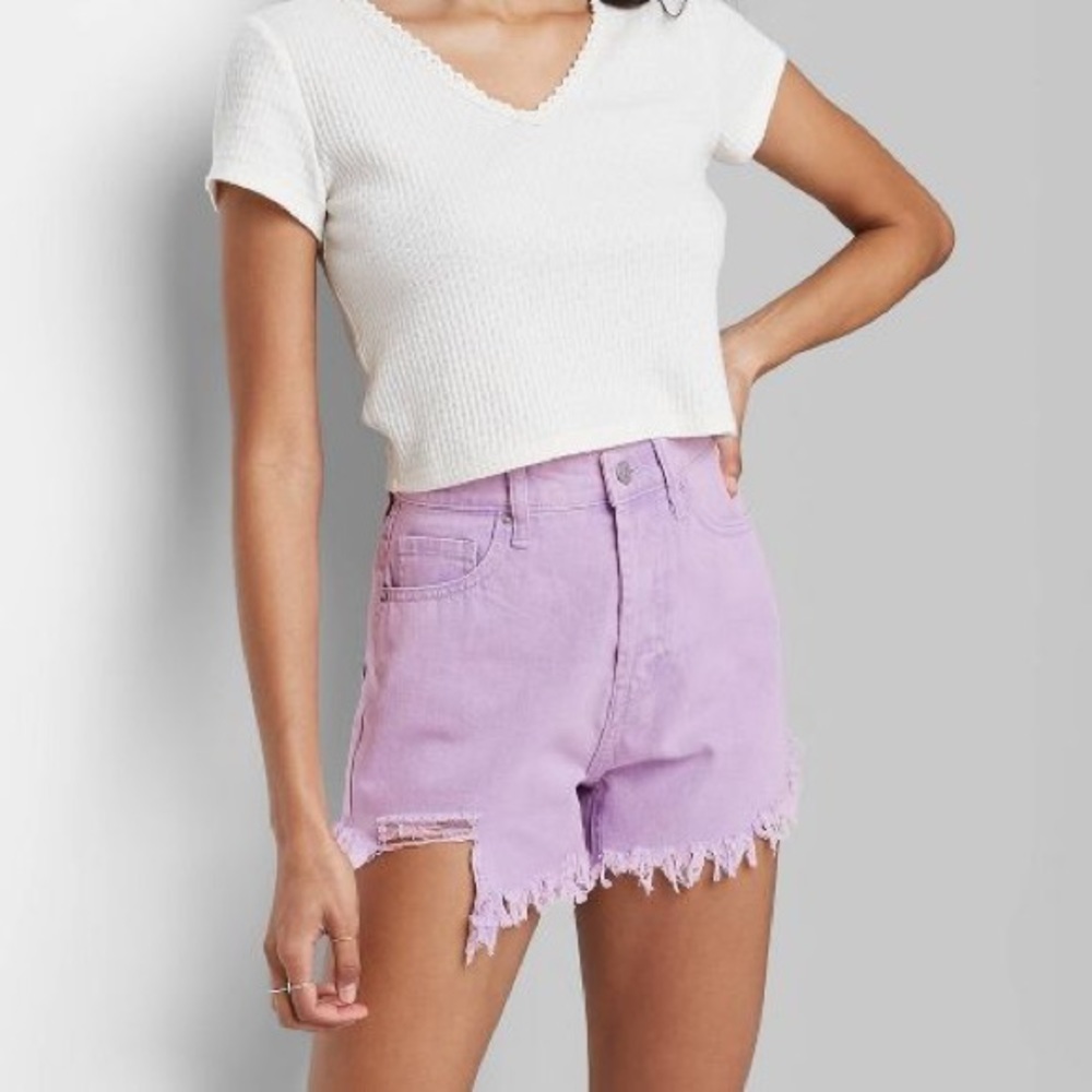 NWT Wild Fable Lavender Shorts